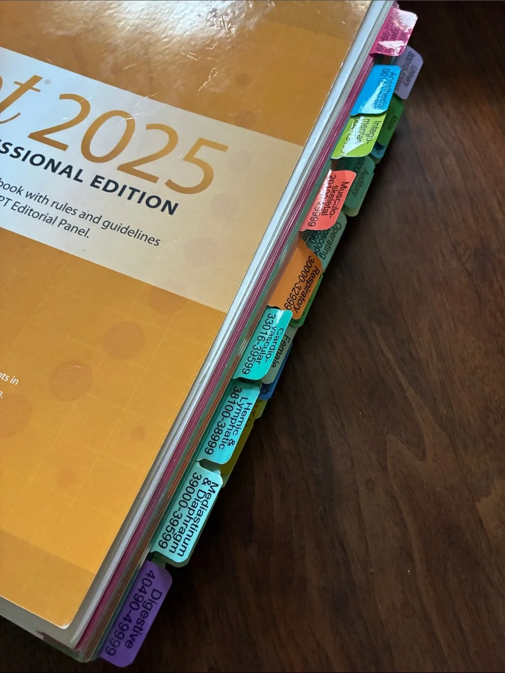 CPT 2025 Professional Edition Medical Coding Book